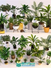 20棵装饰植物3D模型合集，棕榈、花、芦荟，花盆，吊兰等
