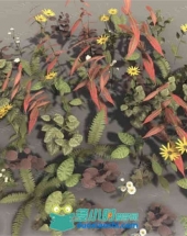 50多组PBR植物网格品种3D模型 Unity游戏素材资源