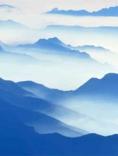 云海迷雾森林自然风景JPG高清图片139p