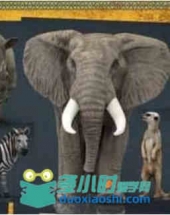 非洲野生动物3D模型 Cubebrush – Wild Africa Pack (MAX/FBX/MB/OBJ格式)