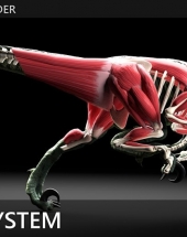 X-Muscle System快速创建肌肉系统Blender插件V3.0版