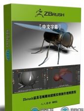 Zbrush逼真苍蝇雕刻建模实例制作视频教程