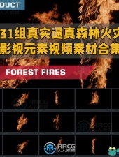31组真实逼真森林火灾影视元素视频素材合集