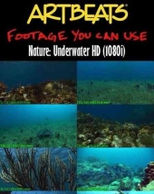 《海底世界高清实拍视频素材合辑》Artbeats Underwater HD